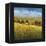 Lo Splendor De La Toscana-Tim Howe-Framed Premier Image Canvas