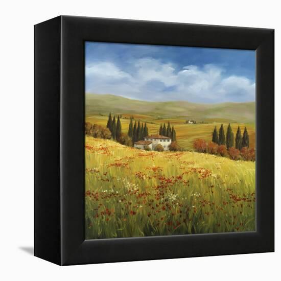 Lo Splendor De La Toscana-Tim Howe-Framed Premier Image Canvas