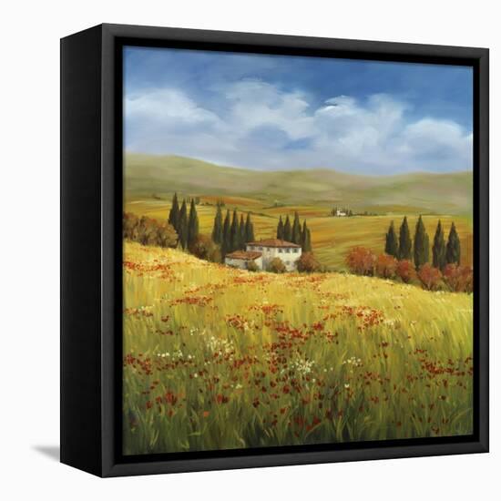 Lo Splendor De La Toscana-Tim Howe-Framed Premier Image Canvas