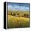 Lo Splendor De La Toscana-Tim Howe-Framed Premier Image Canvas