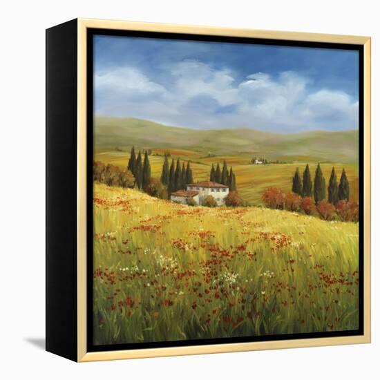 Lo Splendor De La Toscana-Tim Howe-Framed Premier Image Canvas