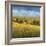 Lo Splendor De La Toscana-Tim Howe-Framed Giclee Print