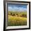 Lo Splendor De La Toscana-Tim Howe-Framed Giclee Print