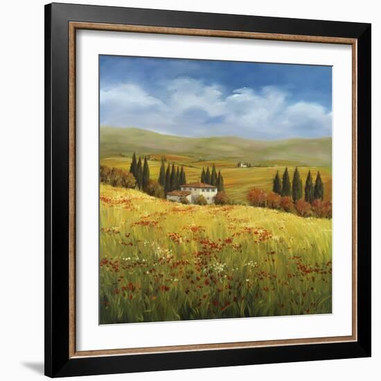 Lo Splendor De La Toscana-Tim Howe-Framed Giclee Print