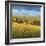 Lo Splendor De La Toscana-Tim Howe-Framed Giclee Print