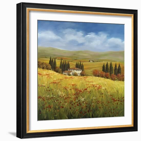 Lo Splendor De La Toscana-Tim Howe-Framed Giclee Print