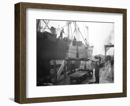 Loading Apple Cargo at Dock, Seattle, 1921-Asahel Curtis-Framed Giclee Print