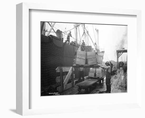 Loading Apple Cargo at Dock, Seattle, 1921-Asahel Curtis-Framed Premium Giclee Print