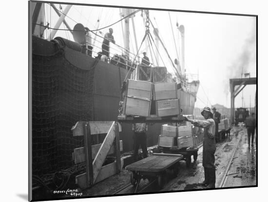 Loading Apple Cargo at Dock, Seattle, 1921-Asahel Curtis-Mounted Giclee Print