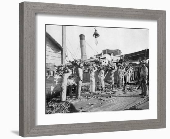 Loading Bananas, Port Antonio, Jamaica, C1905-Adolphe & Son Duperly-Framed Giclee Print