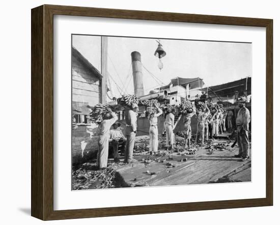 Loading Bananas, Port Antonio, Jamaica, C1905-Adolphe & Son Duperly-Framed Giclee Print