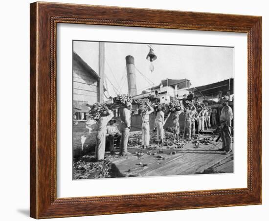 Loading Bananas, Port Antonio, Jamaica, C1905-Adolphe & Son Duperly-Framed Giclee Print
