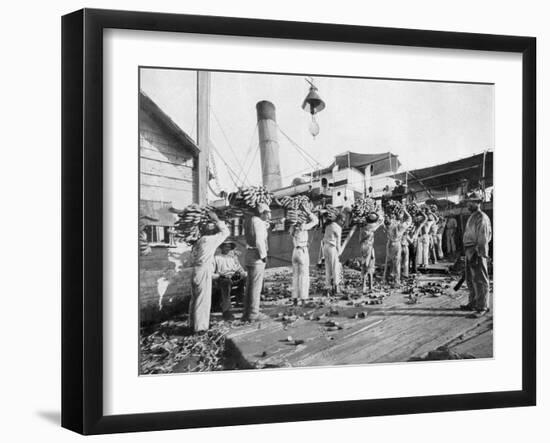 Loading Bananas, Port Antonio, Jamaica, C1905-Adolphe & Son Duperly-Framed Giclee Print