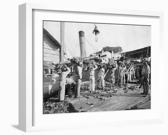 Loading Bananas, Port Antonio, Jamaica, C1905-Adolphe & Son Duperly-Framed Giclee Print