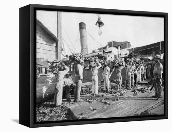 Loading Bananas, Port Antonio, Jamaica, C1905-Adolphe & Son Duperly-Framed Premier Image Canvas