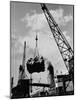 Loading Coffee on a Ship of the American Line, Mccormick-null-Mounted Photographic Print