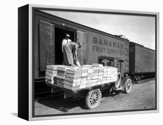 Loading Peaches in Car at Donald, 1928-Asahel Curtis-Framed Premier Image Canvas