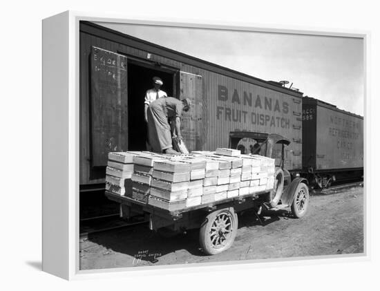 Loading Peaches in Car at Donald, 1928-Asahel Curtis-Framed Premier Image Canvas