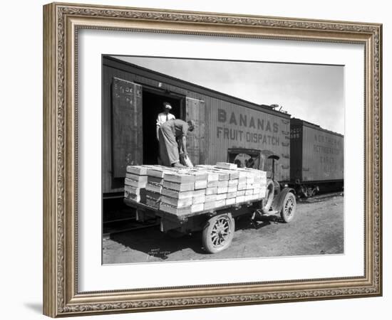 Loading Peaches in Car at Donald, 1928-Asahel Curtis-Framed Giclee Print