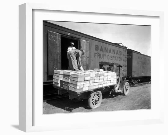 Loading Peaches in Car at Donald, 1928-Asahel Curtis-Framed Giclee Print