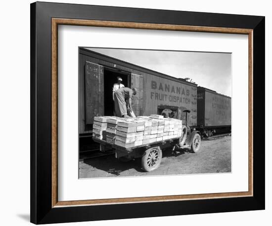 Loading Peaches in Car at Donald, 1928-Asahel Curtis-Framed Premium Giclee Print