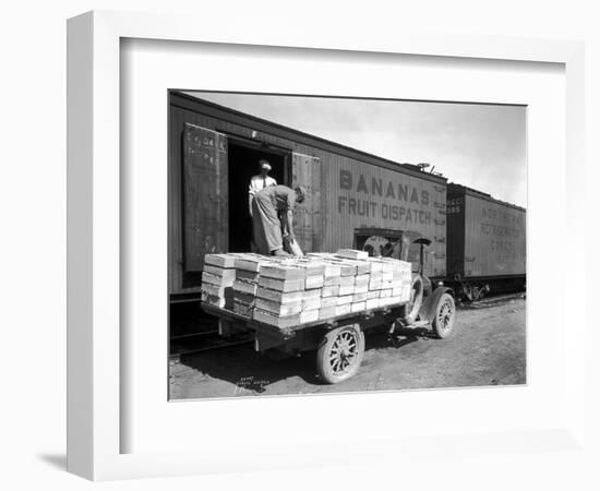 Loading Peaches in Car at Donald, 1928-Asahel Curtis-Framed Giclee Print