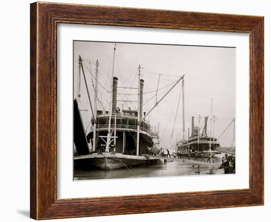 Loading Steamer During High Water, March 23, 1903, New Orleans, LA-null-Framed Photo