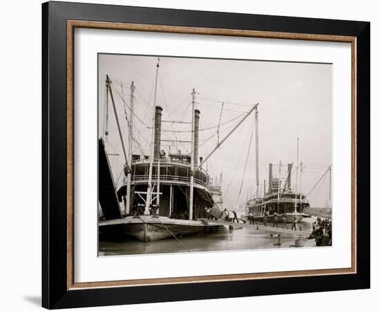 Loading Steamer During High Water, March 23, 1903, New Orleans, LA-null-Framed Photo