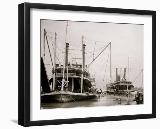 Loading Steamer During High Water, March 23, 1903, New Orleans, LA-null-Framed Photo