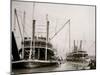 Loading Steamer During High Water, March 23, 1903, New Orleans, LA-null-Mounted Photo