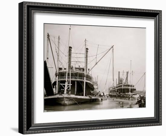 Loading Steamer During High Water, March 23, 1903, New Orleans, LA-null-Framed Photo
