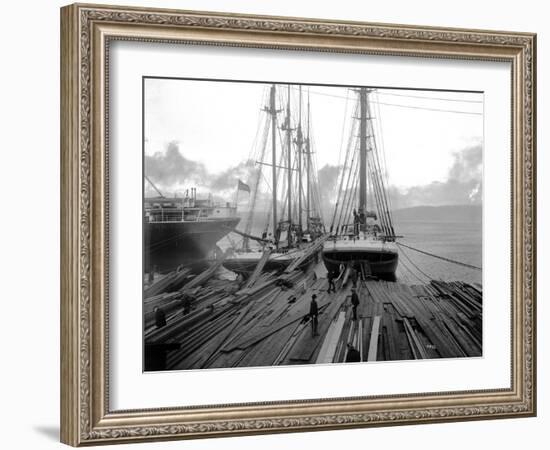 Loading Timber at Tacoma Mill, 1909-Asahel Curtis-Framed Giclee Print