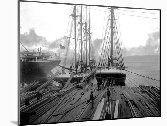 Loading Timber at Tacoma Mill, 1909-Asahel Curtis-Mounted Giclee Print
