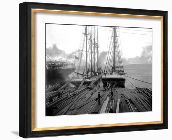 Loading Timber at Tacoma Mill, 1909-Asahel Curtis-Framed Giclee Print