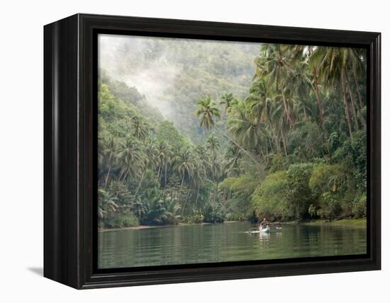 Loboc River, Bohol, Philippines, Southeast Asia, Asia-Tony Waltham-Framed Premier Image Canvas