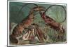 Lobster and Spiny Lobster by Alfred Edmund Brehm-Stefano Bianchetti-Mounted Giclee Print