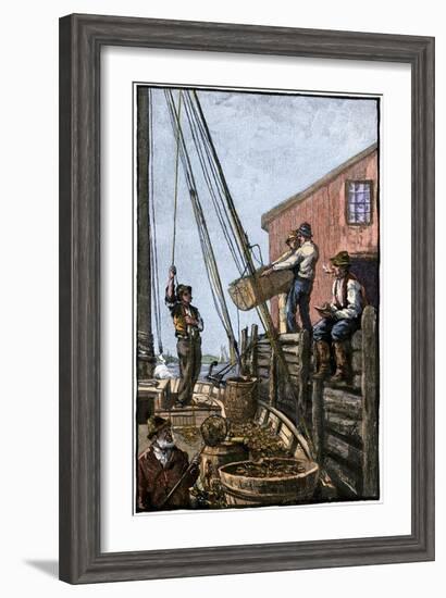 Lobster-Boat Unloaded Along a Maine Pier, circa 1880-null-Framed Giclee Print