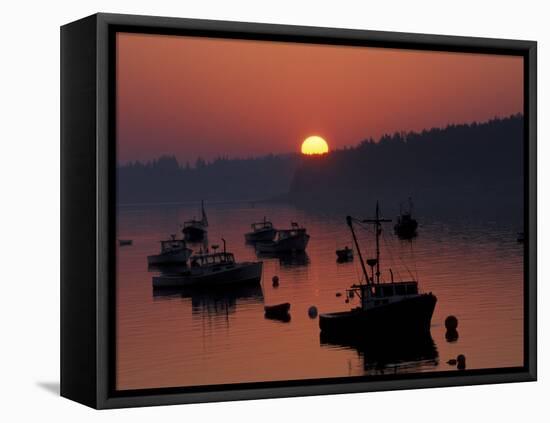 Lobster Boats in Harbor at Sunrise, Stonington, Maine, USA-Joanne Wells-Framed Premier Image Canvas