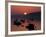 Lobster Boats in Harbor at Sunrise, Stonington, Maine, USA-Joanne Wells-Framed Photographic Print