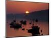 Lobster Boats in Harbor at Sunrise, Stonington, Maine, USA-Joanne Wells-Mounted Photographic Print