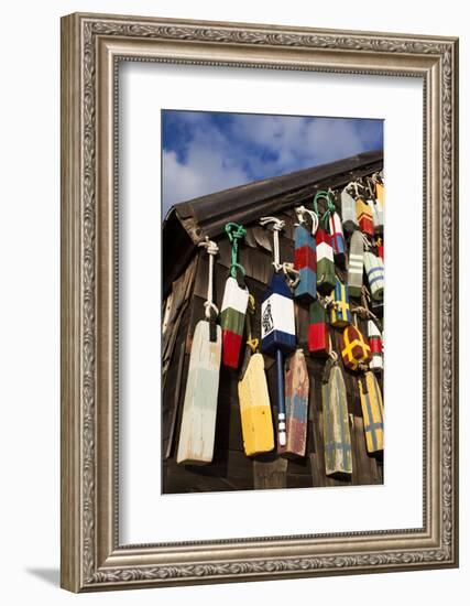 Lobster Buoys, Gloucester, Massachusetts, USA-Walter Bibikow-Framed Photographic Print