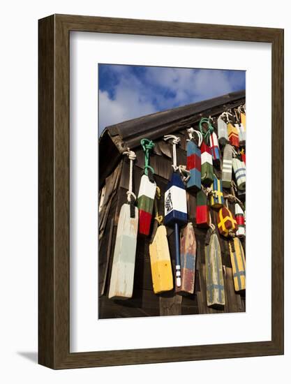 Lobster Buoys, Gloucester, Massachusetts, USA-Walter Bibikow-Framed Photographic Print