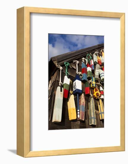 Lobster Buoys, Gloucester, Massachusetts, USA-Walter Bibikow-Framed Photographic Print