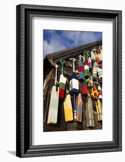 Lobster Buoys, Gloucester, Massachusetts, USA-Walter Bibikow-Framed Photographic Print