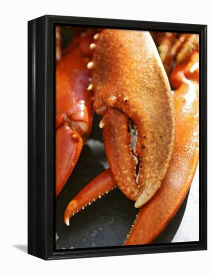 Lobster Claws-Winfried Heinze-Framed Premier Image Canvas