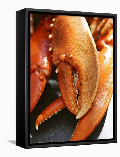 Lobster Claws-Winfried Heinze-Framed Premier Image Canvas