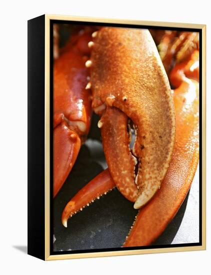 Lobster Claws-Winfried Heinze-Framed Premier Image Canvas