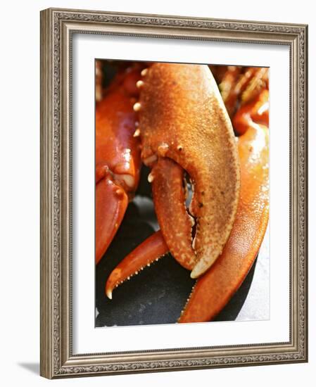 Lobster Claws-Winfried Heinze-Framed Photographic Print