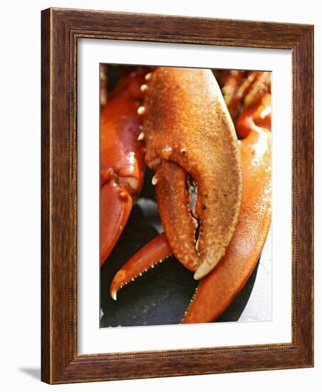 Lobster Claws-Winfried Heinze-Framed Photographic Print