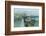 Lobster Cove-Albert Swayhoover-Framed Art Print